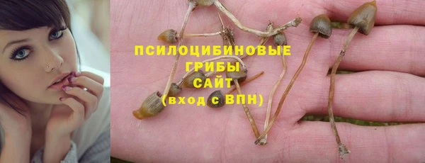 прущие крисы Балахна